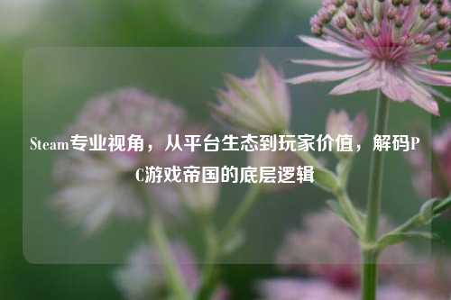 Steam专业视角,从平台生态到玩家价值,解码PC游戏帝国的底层逻辑
