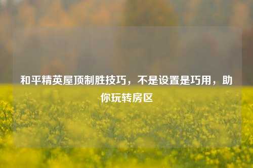 和平精英屋顶制胜技巧,不是设置是巧用,助你玩转房区