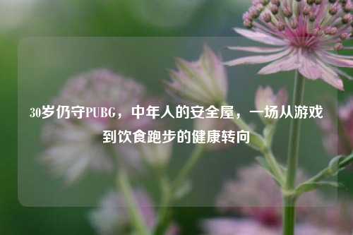 30岁仍守PUBG,中年人的安全屋,一场从游戏到饮食跑步的健康转向
