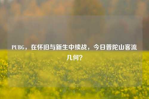 PUBG,在怀旧与新生中续战,今日普陀山客流几何?