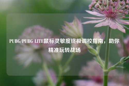 PUBG/PUBG LITE鼠标灵敏度终极调校指南,助你精准玩转战场