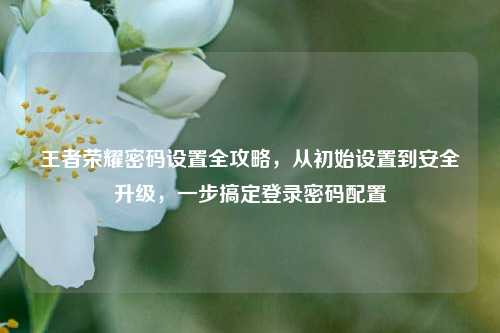 王者荣耀密码设置全攻略，从初始设置到安全升级，一步搞定登录密码配置