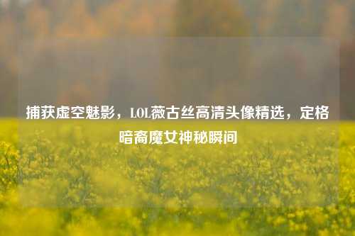 捕获虚空魅影,LOL薇古丝高清头像精选,定格暗裔魔女神秘瞬间