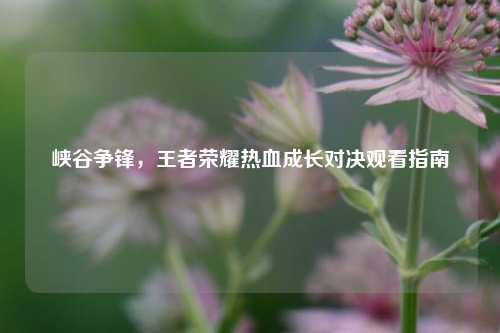 峡谷争锋,王者荣耀热血成长对决观看指南