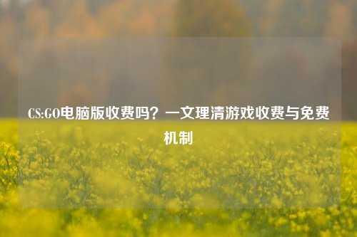 CS:GO电脑版收费吗?一文理清游戏收费与免费机制