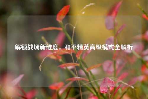 解锁战场新维度,和平精英高级模式全解析