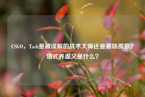 CSGO,Tash是被误解的战术***还是赛场孤狼?塔式养蛊又是什么?