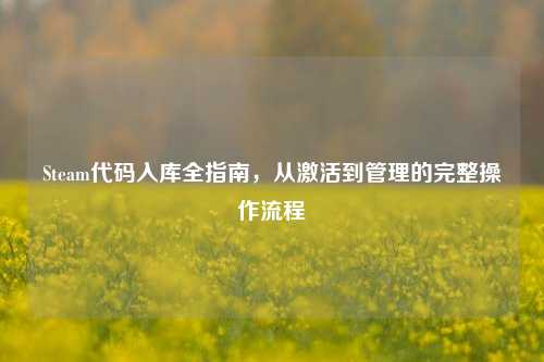 Steam代码入库全指南,从激活到管理的完整操作流程