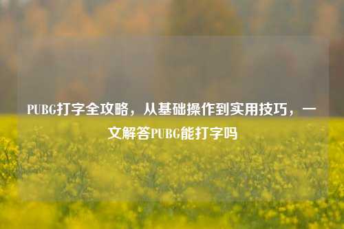 PUBG打字全攻略,从基础操作到实用技巧,一文解答PUBG能打字吗