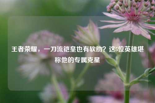 王者荣耀,一刀流铠皇也有软肋?这5位英雄堪称他的专属克星