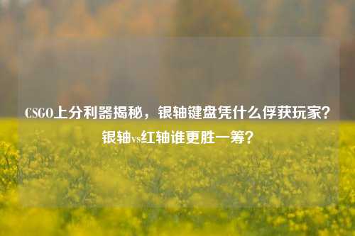 CSGO上分利器揭秘,银轴键盘凭什么俘获玩家?银轴vs红轴谁更胜一筹?