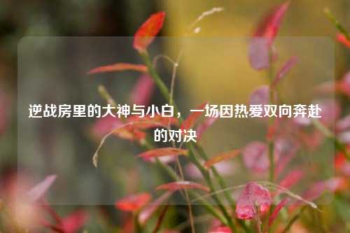 逆战房里的大神与小白,一场因热爱双向奔赴的对决