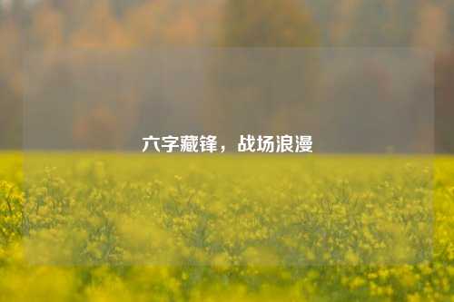 六字藏锋,战场浪漫