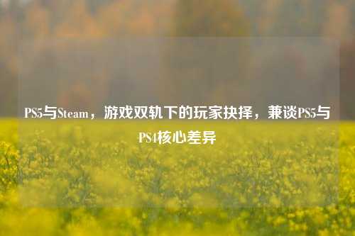 PS5与Steam,游戏双轨下的玩家抉择,兼谈PS5与PS4核心差异