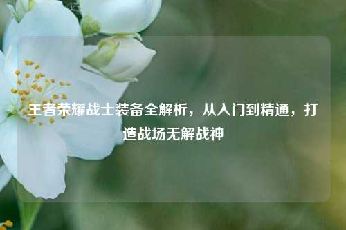 王者荣耀战士装备全解析,从入门到精通,打造战场无解战神