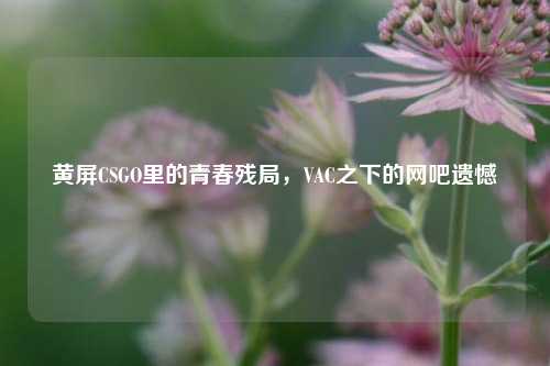 黄屏CSGO里的青春残局,VAC之下的网吧遗憾
