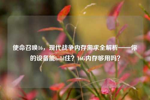 使命召唤16,现代战争内存需求全解析——你的设备能hold住?16G内存够用吗?