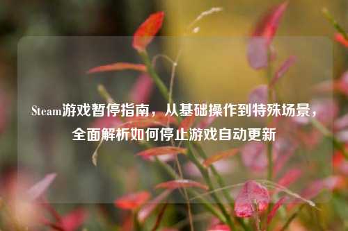 Steam游戏暂停指南,从基础操作到特殊场景,全面解析如何停止游戏自动更新