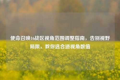 使命召唤16战区视角范围调整指南,告别视野局限,教你选合适视角数值