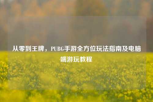 从零到王牌,PUBG手游全方位玩法指南及电脑端游玩教程