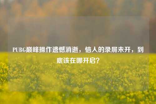 PUBG巅峰操作遗憾消逝,恼人的录屏未开,到底该在哪开启?