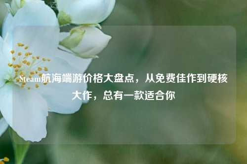 Steam航海端游价格大盘点,从免费佳作到硬核大作,总有一款适合你