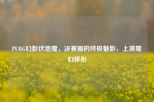 PUBG幻影伏地魔,决赛圈的终极魅影,上演魔幻移形
