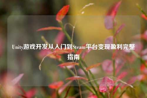 Unity游戏开发从入门到Steam平台变现盈利完整指南