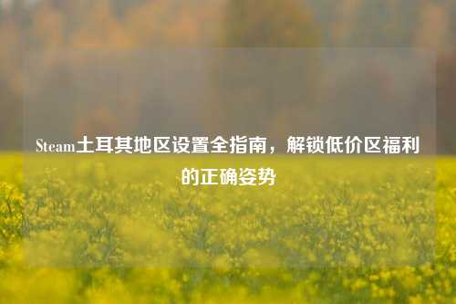 Steam土耳其地区设置全指南,解锁低价区福利的正确姿势