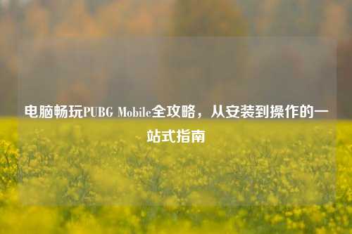 电脑畅玩PUBG Mobile全攻略,从安装到操作的一站式指南