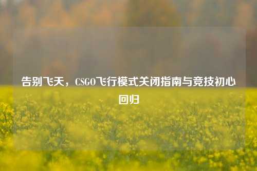 告别飞天,CSGO飞行模式关闭指南与竞技初心回归