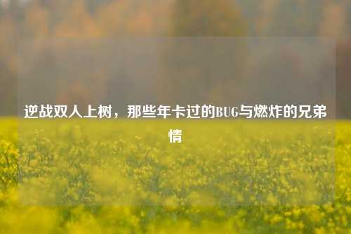 逆战双人上树,那些年卡过的BUG与燃炸的兄弟情