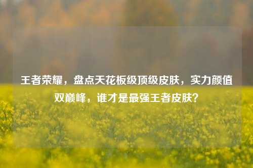 王者荣耀,盘点天花板级顶级皮肤,实力颜值双巅峰,谁才是最强王者皮肤?