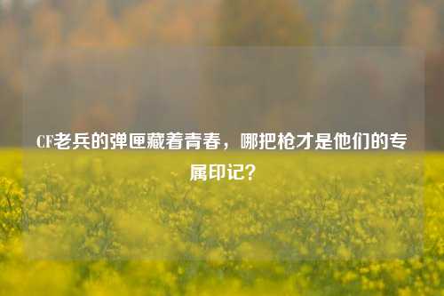 CF老兵的弹匣藏着青春,哪把枪才是他们的专属印记?