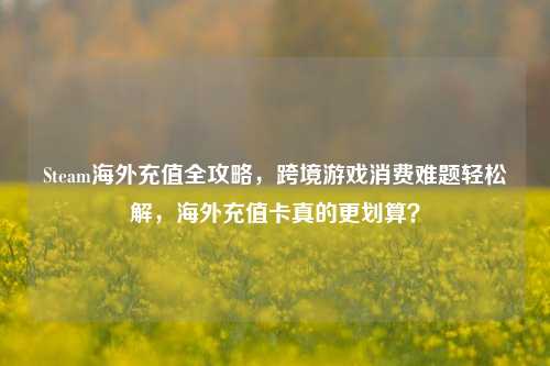 Steam海外充值全攻略,跨境游戏消费难题轻松解,海外充值卡真的更划算?