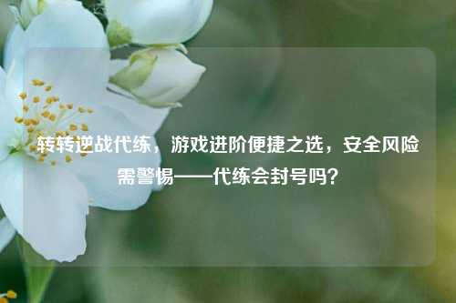 转转逆战代练,游戏进阶便捷之选,安全风险需警惕——代练会封号吗?