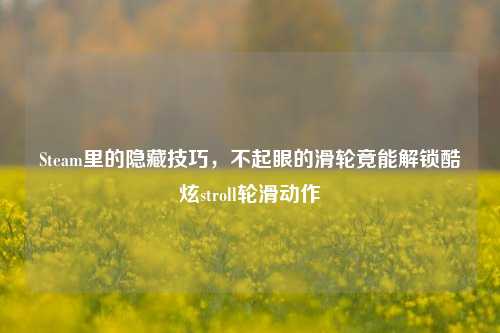 Steam里的隐藏技巧,不起眼的滑轮竟能解锁酷炫stroll轮滑动作