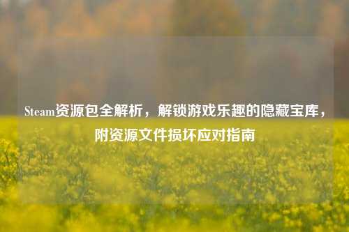 Steam资源包全解析,解锁游戏乐趣的隐藏宝库,附资源文件损坏应对指南
