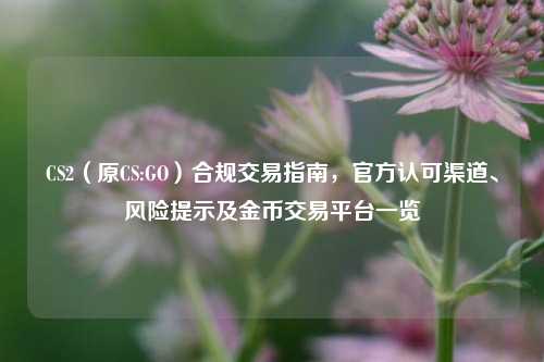 CS2(原CS:GO)合规交易指南,官方认可渠道、风险提示及金币交易平台一览