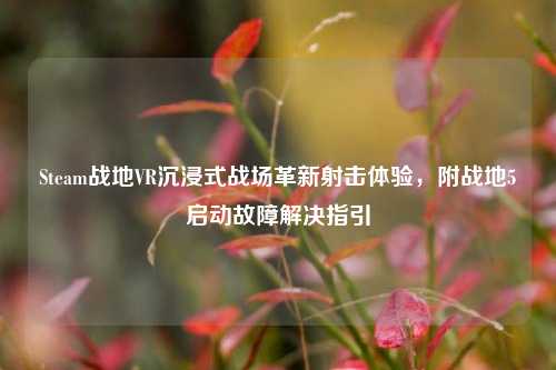 Steam战地VR沉浸式战场革新射击体验,附战地5启动故障解决指引