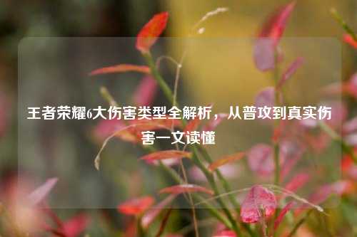 王者荣耀6大伤害类型全解析,从普攻到真实伤害一文读懂