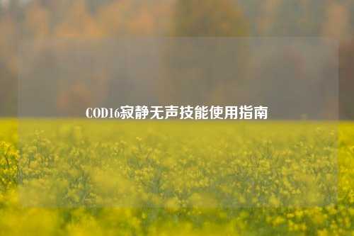 COD16寂静无声技能使用指南