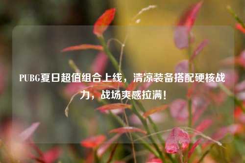 PUBG夏日超值组合上线,清凉装备搭配硬核战力,战场爽感拉满!