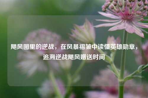 飓风图里的逆战,在风暴褶皱中读懂英雄勋章,追溯逆战飓风赠送时间