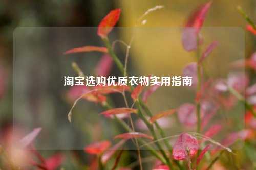 选购优质衣物实用指南