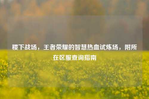 稷下战场,王者荣耀的智慧热血试炼场,附所在区服查询指南