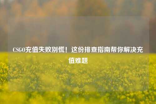 CSGO充值失败别慌!这份排查指南帮你解决充值难题