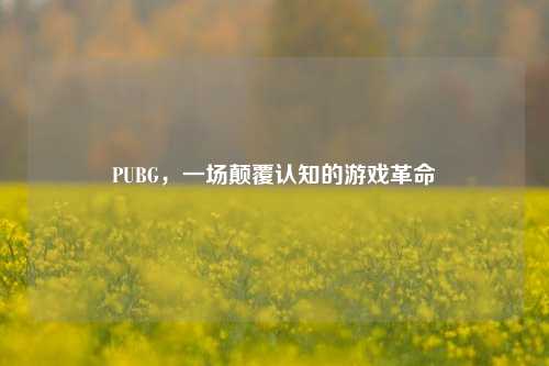 PUBG,一场颠覆认知的游戏革命
