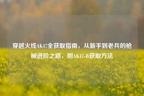穿越火线AK47全获取指南,从新手到老兵的枪械进阶之路,附AK47-B获取