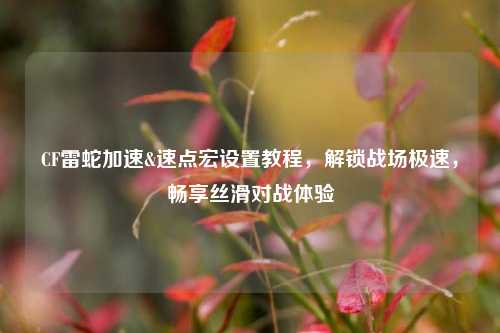CF雷蛇加速&速点宏设置教程,解锁战场极速,畅享丝滑对战体验